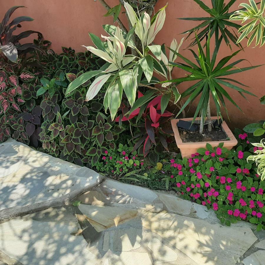 Ecco House Buzios Villa ภายนอก รูปภาพ